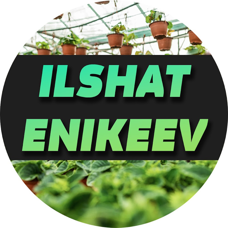 ILSHAT ENIKEEV