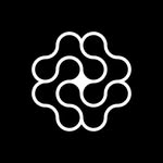 NOCTIS® | AI Growth Partner