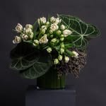 MAISON FLEUR | BRISBANE FLORIST
