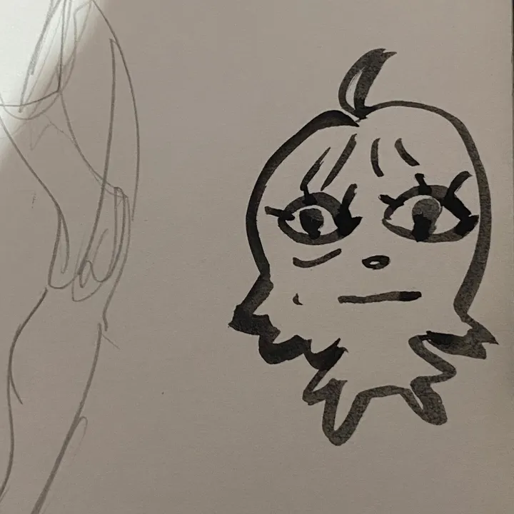 navi