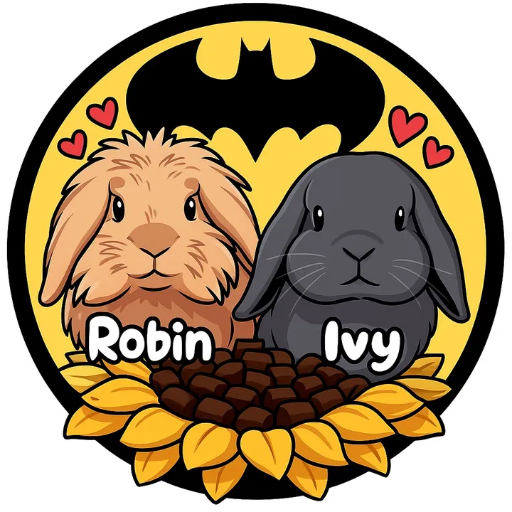 Robin The Bunny
