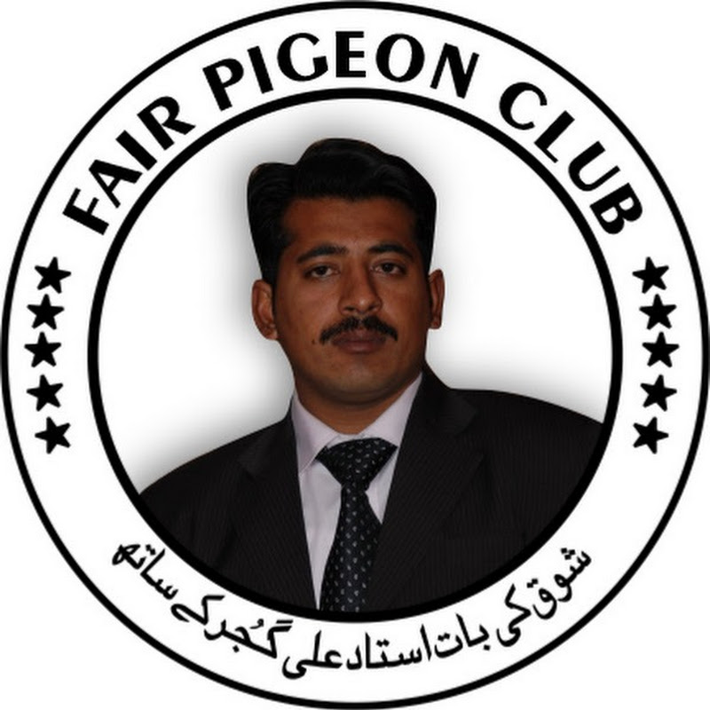 Fair pigeon club