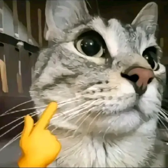 Diego