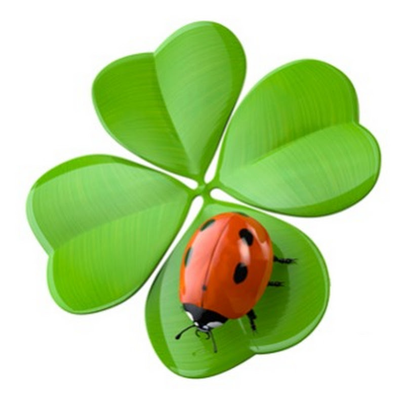 LuckScout