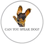 CAN YOU SPEAK DOG?🐾