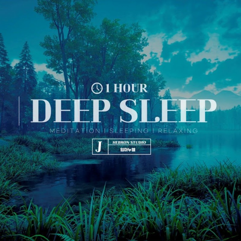 Rainy Forest Hymn