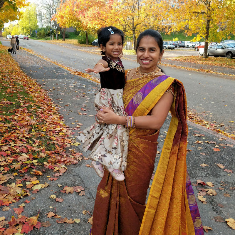 Sravanthi telugu Vlogs in USA
