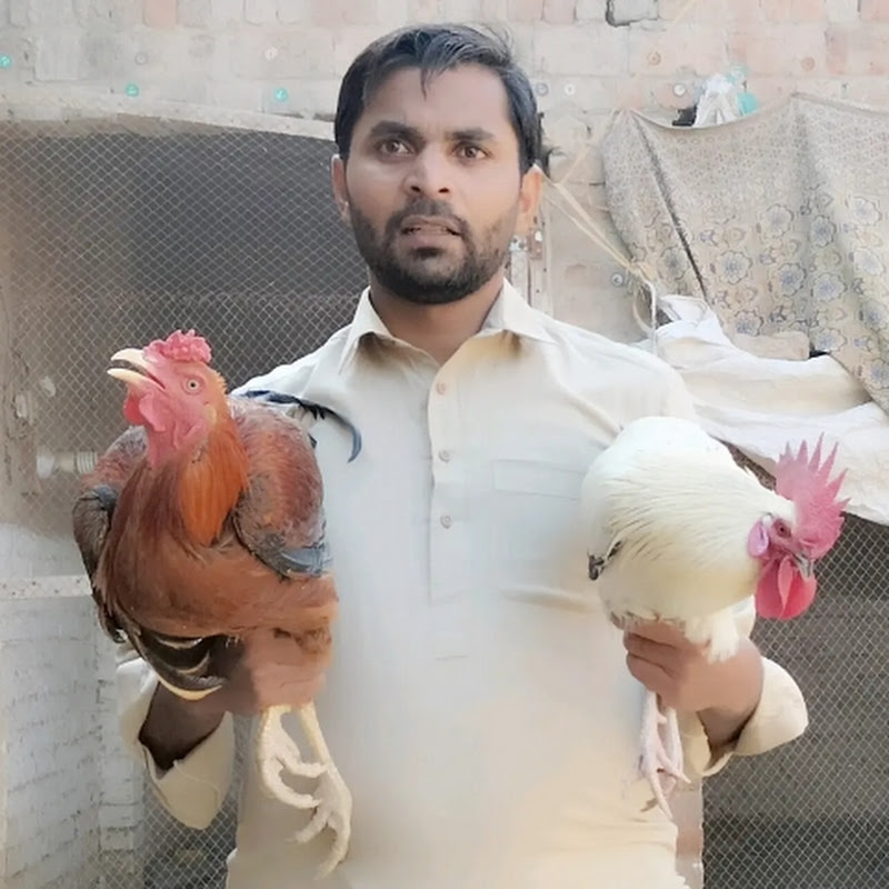 village food experts