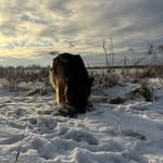 _.my.love.pets | moje kochane zwierzaki 🐾