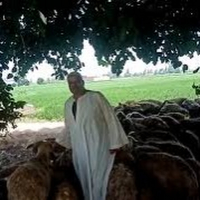 أهل الريف المصري