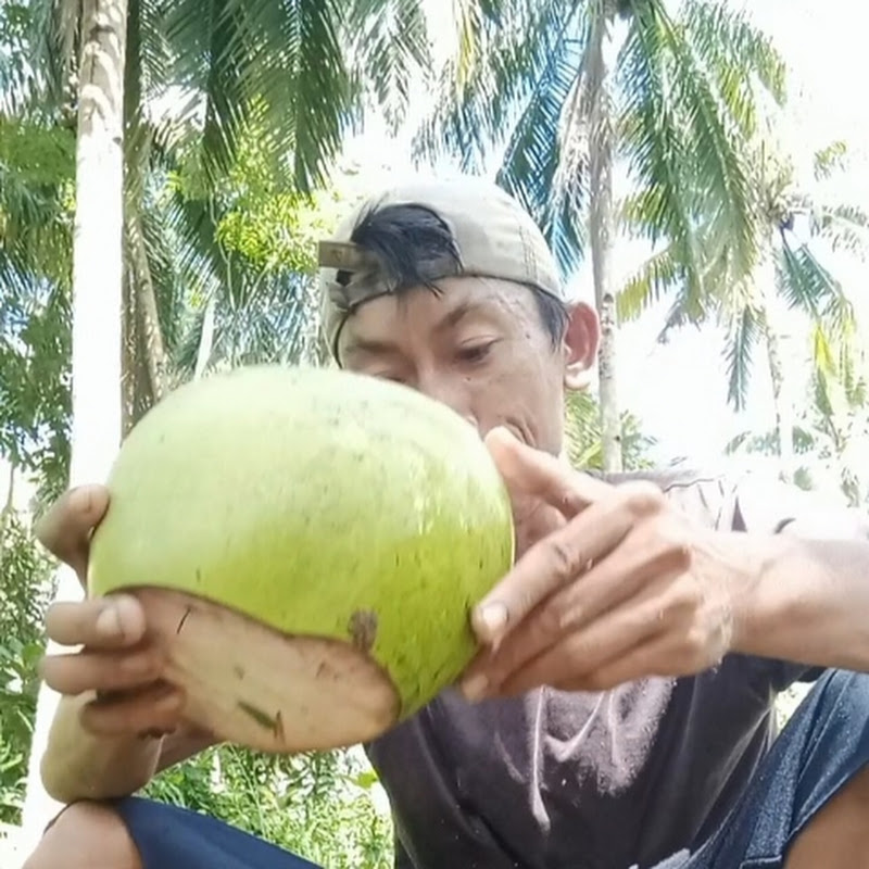 Irfan Delon Channel