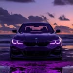 Boh Ntanzi | Lifestyle | Pig Farmer 🐷