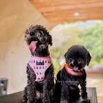 Ivan 🎥🎬⛰📸🇹🇼