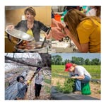University of Md. Extension