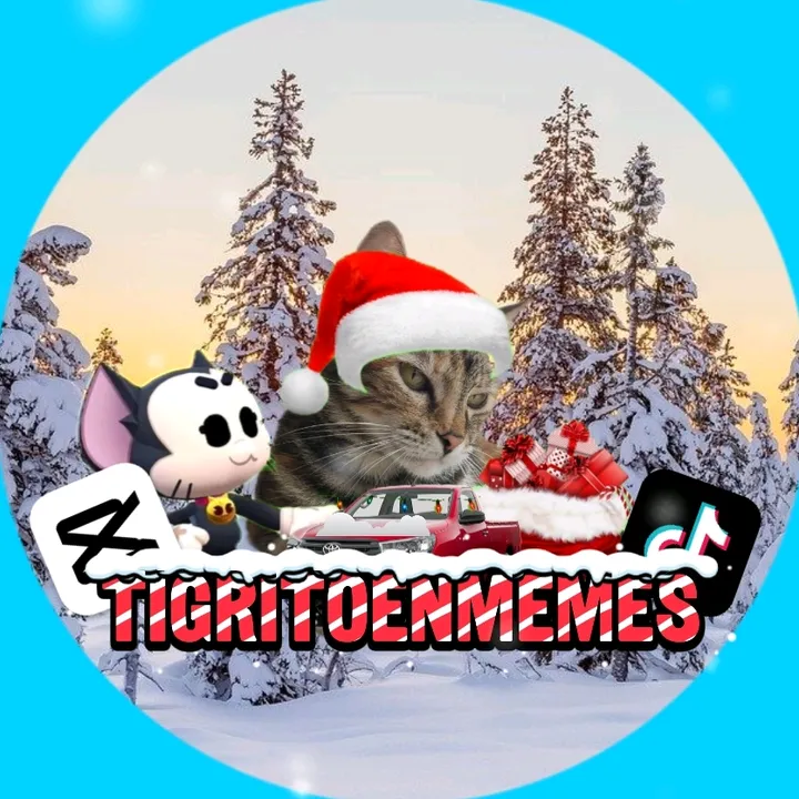 TIGRITO EN MEMES