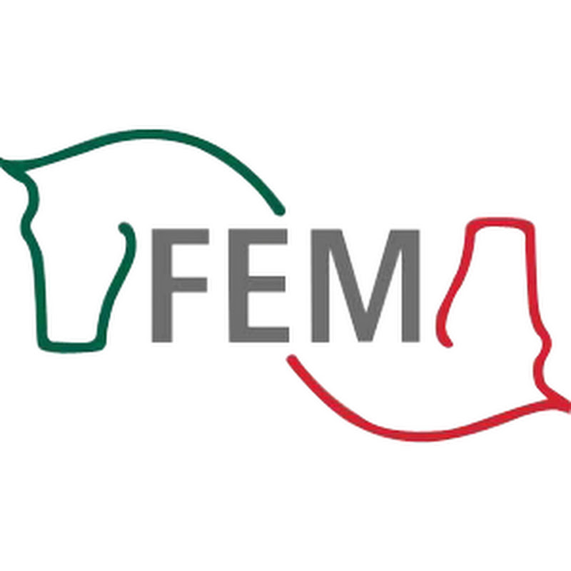Federación Ecuestre Mexicana