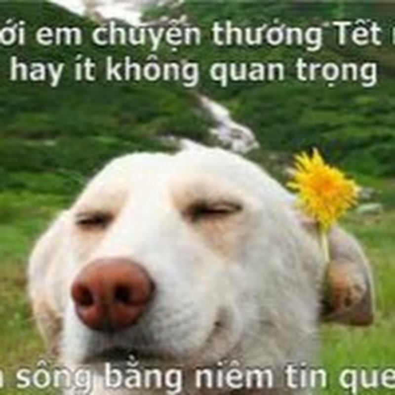 Cartoon Vui Nhộn 8