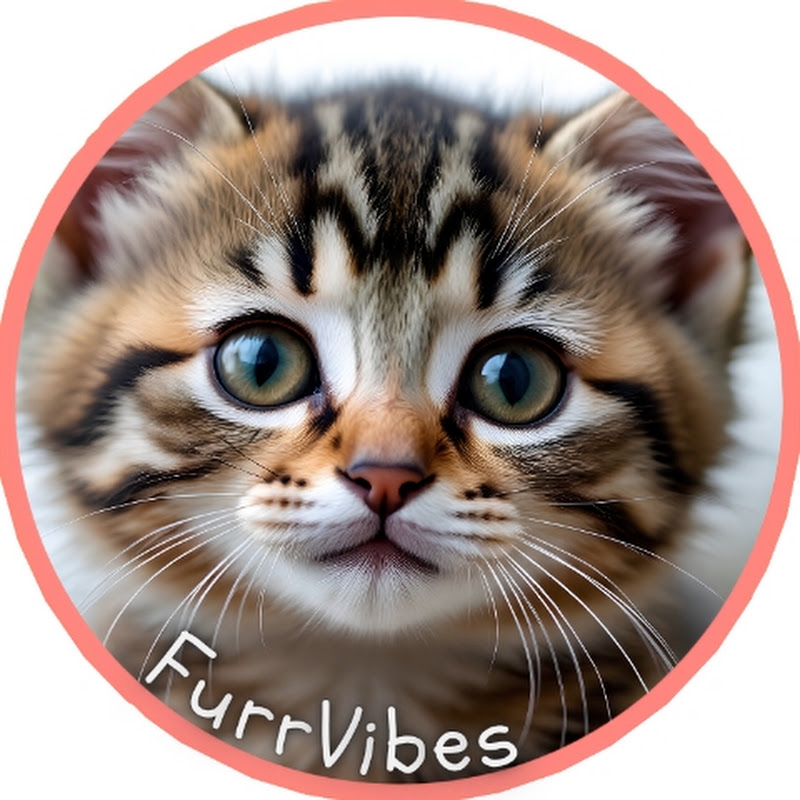 FurrVibes