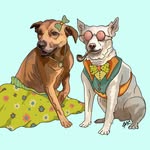 Pup Country LLC | Artisan Candles