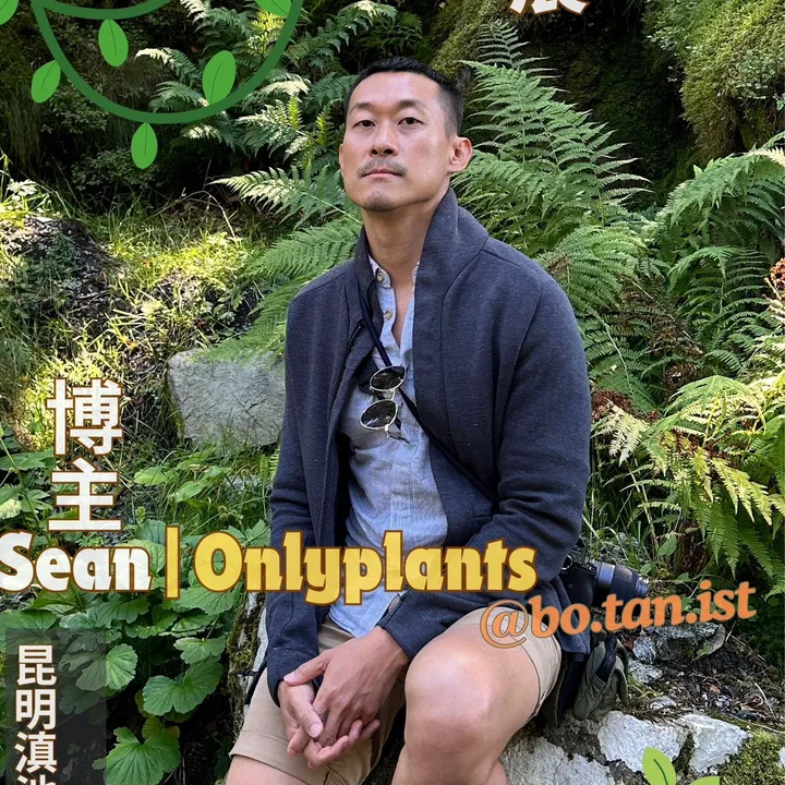 Seanwilliamsalim