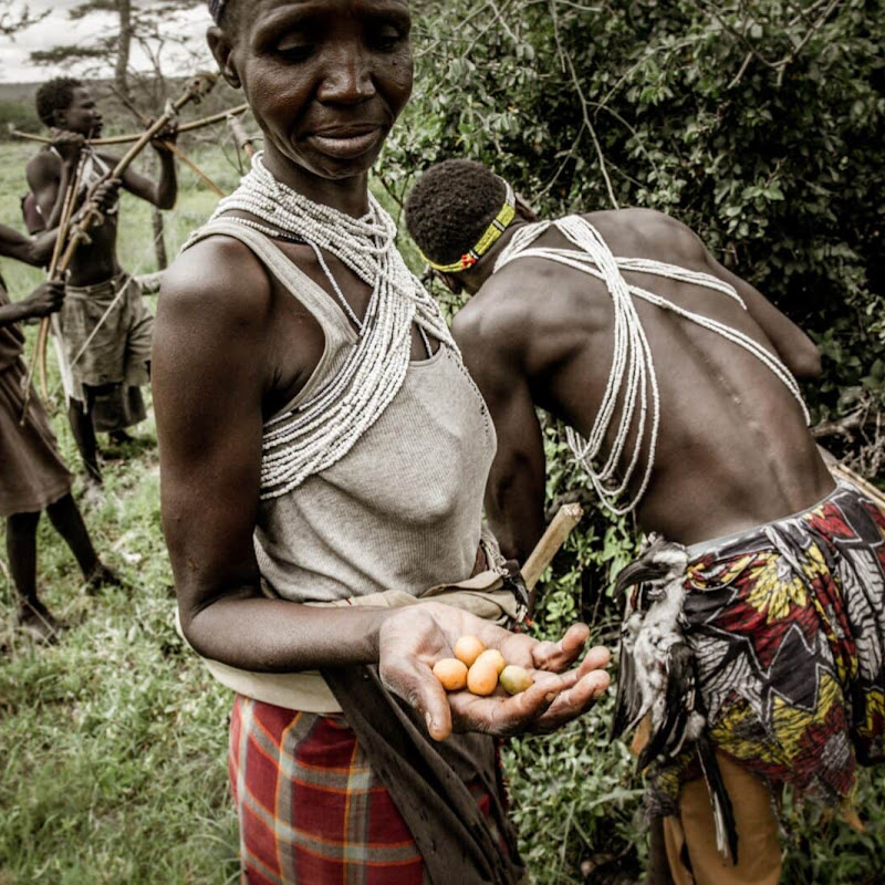 Hadzabe Tribe In Africa