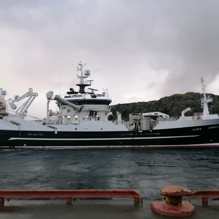 larsolav1
