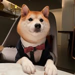 鬆鬆🦊♂