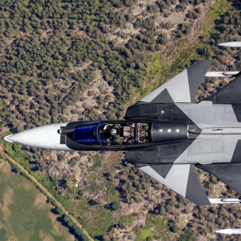 The_Gripen