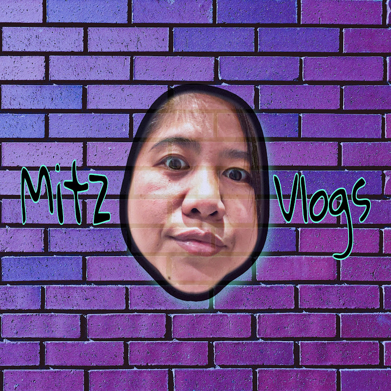 Mitz Vlogs