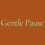🔸 Gentle Pause 🔸