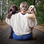 Cockapoo_Pepper & Nacho