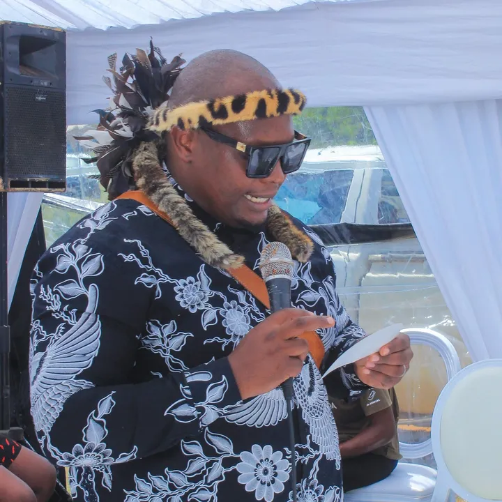 Sandile Professor Mhlongo