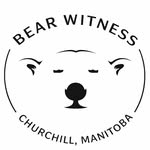Bear Witness Photo