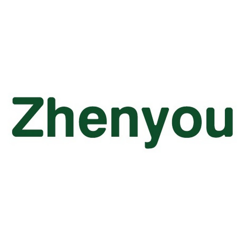 Zhenyou Technology