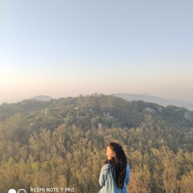 Unscripted by Asha