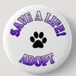 PETER COMMUNITY OUTREACH