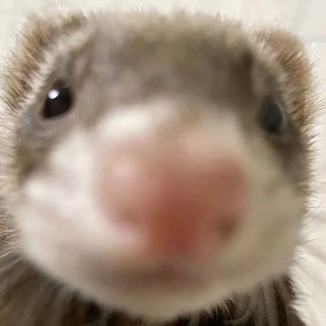 🎧❤️☀️💚💋