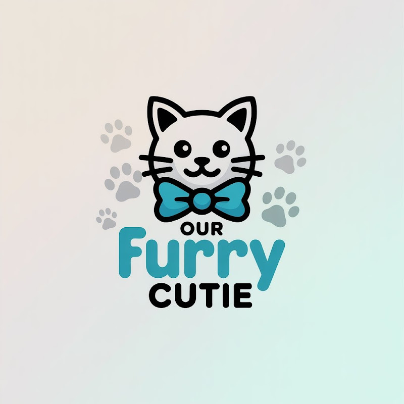 Our Furry Cutie 
