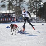 Jessica, draghundsport, kost och idrott 🇸🇪