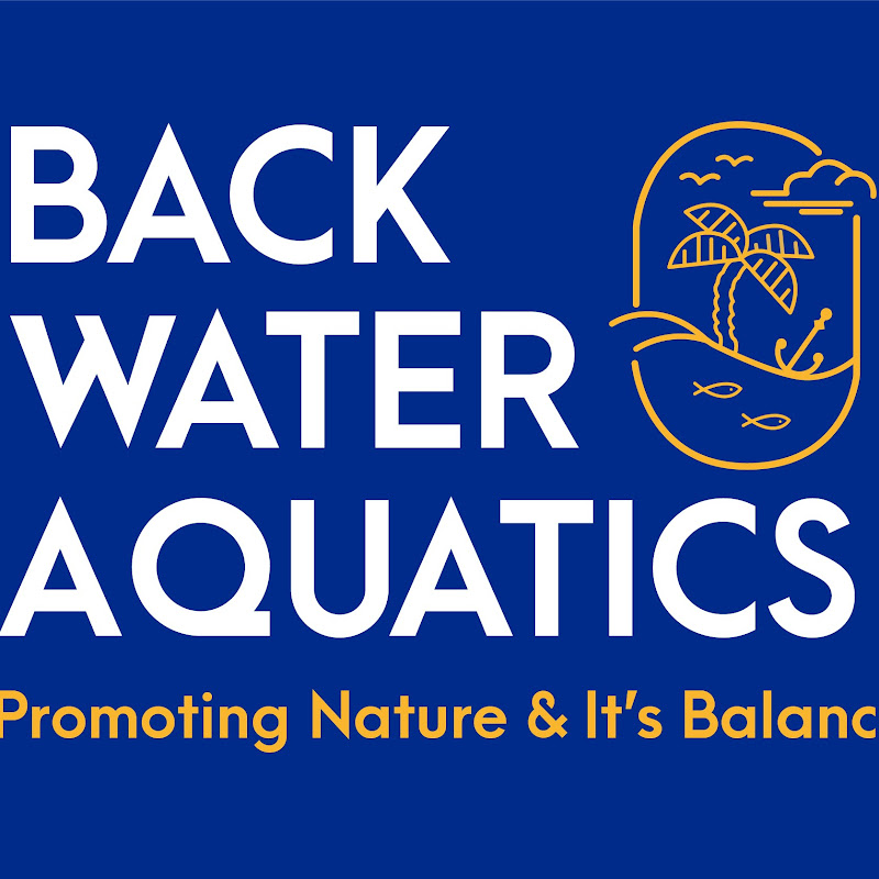 Back Water Aquatics