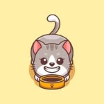 Daily Cats