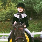궁평캠프승마장 어린이승마체험  체험승마 경기도학생승마체험 아이들승마장