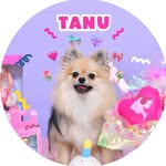 たぬ💓たぬきだったポメラニアン🐶🍒