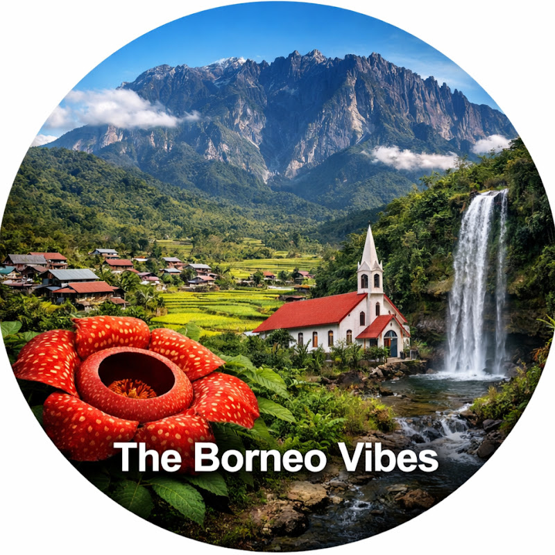 The Borneo Vibes