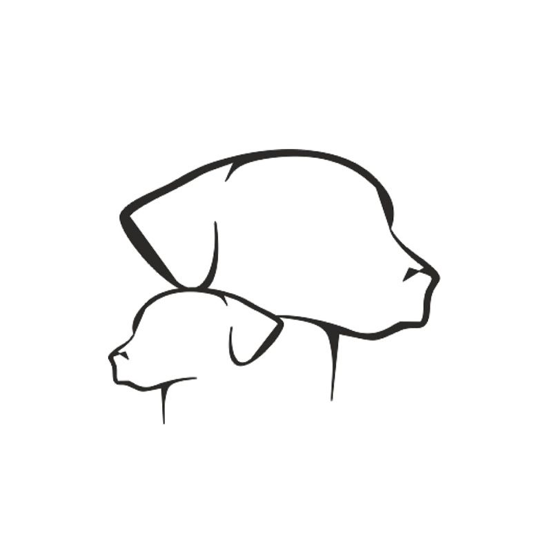 The Dog Transformation