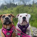 Missy and Lou Lou