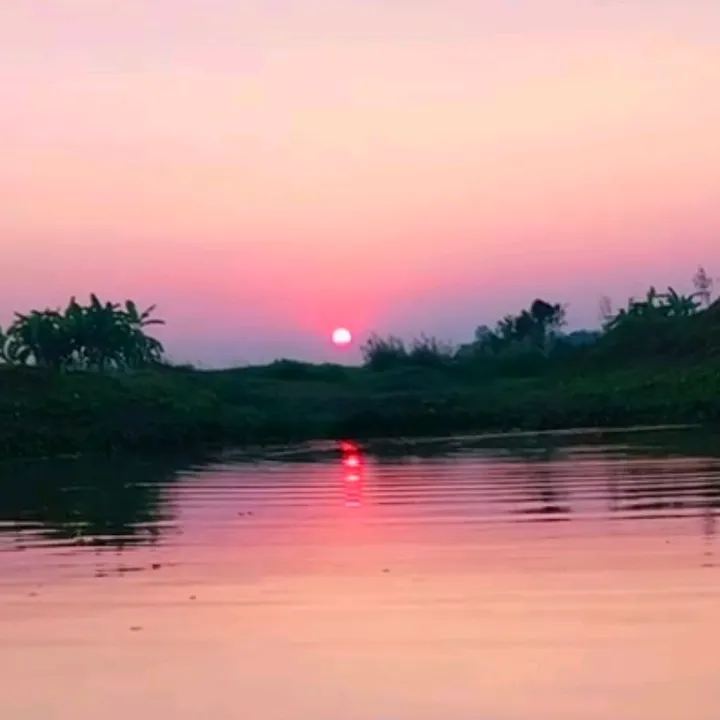 𝒀𝒐𝒖𝒔𝒖𝒇 𝑯𝒐𝒔𝒔𝒂𝒊𝒏
