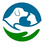 safe haven tails