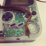 The Gaming Anthologist