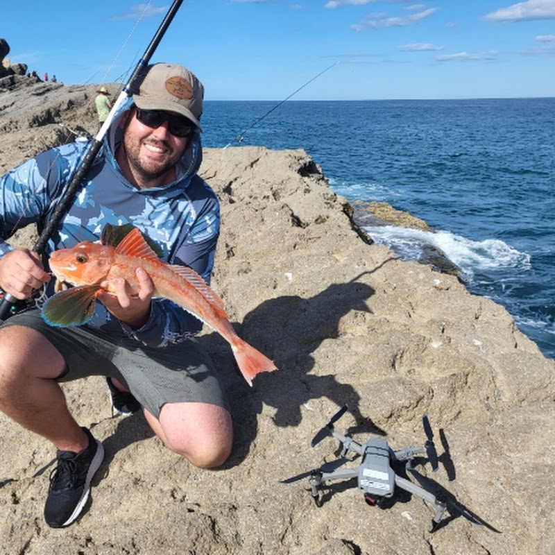 Fish Eat Repeat